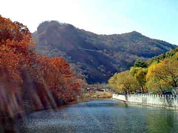 澳门二四六天天彩图库，通房生存手册